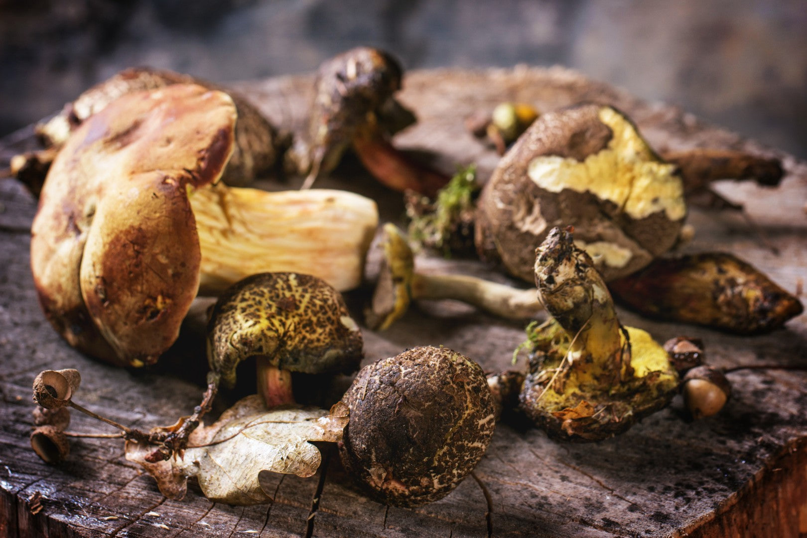 Mushrooms